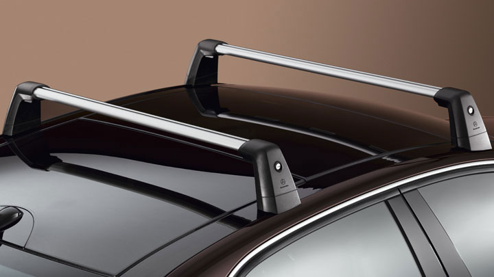 Roof Rack Basic Carrier